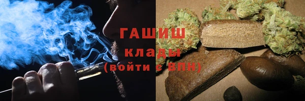 прущие грибы Переславль-Залесский