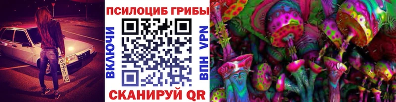 Галлюциногенные грибы Cubensis  Бабаево 